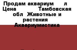 Продам аквариум 200 л › Цена ­ 4 500 - Тамбовская обл. Животные и растения » Аквариумистика   . Тамбовская обл.